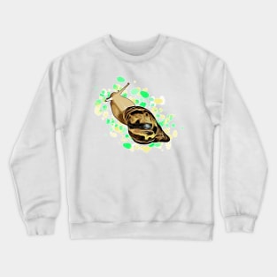 Achatina Reticulata albino Splash Crewneck Sweatshirt